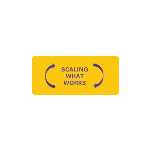 Scaling & Sustainability